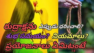 రుద్రాక్షను ఎప్పుడు ధరించాలి? శుభ సమయం? నియమాలు? ప్రయోజనాలు ఏమిటంటే