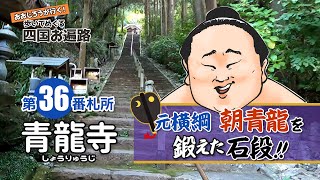 歩いてめぐる四国遍路　第36番 青龍寺 ～元横綱 朝青龍を鍛えた石段！～