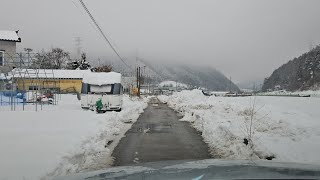 태백 시베리아 첩첩산 시골 택시기사 이야기 사람허리 높이 눈길을 도깨비 달린다 ᆢ