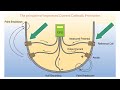 iccp impressed current cathodic protection working...@eto_k7585⭐💫⭐💫⭐💫