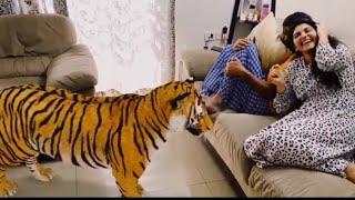 Heroine Atulya Ravi Funny Video || Tiger || Stay Home Challenge ||