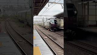 E655系　なごみ　中野駅通過