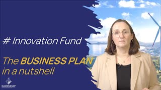 The Innovation Fund Business Plan in a Nutshell