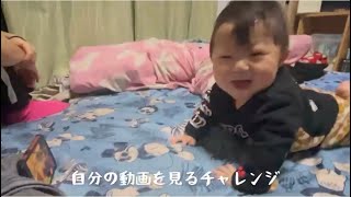 10ヶ月赤ちゃん自分の動画を見るチャレンジ　しゆうちゃんねる