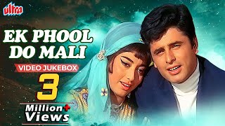 Ek Phool Do Mali 1969 Video Jukebox | Old Evergreen Hits | Sadhana | Sanjay Khan | Asha Bhosle