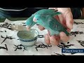 藍色小精靈〈 太平洋鸚鵡第1集〉。the smurfs 〈 pacific parrotlet episode 1〉。