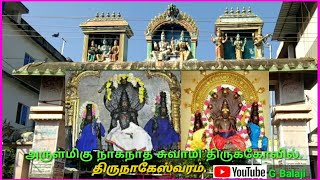 அருள்மிகு திருநாகநாத சுவாமி திருக்கோவில் திருநாகேஸ்வரம் Sri Naganatha Swamy Temple , Thirunageswaram