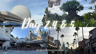 Day 2, 4 & 5   Animal Kingdom & Epcot, Outlets Haul & Hollywood Studios