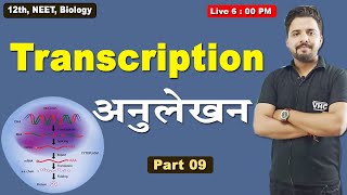 Part 09 Transcription अनुलेखन, 12th Biology