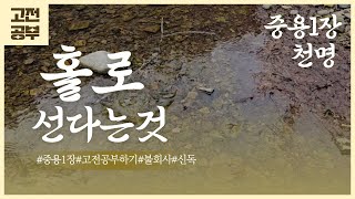 중용(中庸 ) 1장  천명 (天命)