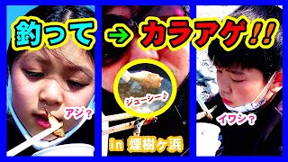 サビキで釣った魚を昼にカラアゲして食べたよ!! イワシ アジ サバ 爆釣 in 和歌山 煙樹ヶ浜 御坊市 美浜町 釣り  fishing 2022 GW特別企画②