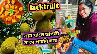 কঠালৰ তৰকাৰী এনেকৈ বনাই খালে মাংস খাৱলৈ পাহৰি যাব || Delicious Jackfruit Curry Recipe