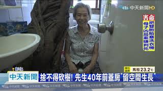 20200929中天新聞　奇景！　透天厝「與樹共生」　枝幹比馬桶還粗