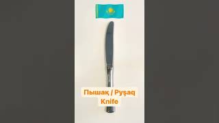 Kitchen vocabulary in Kazakh language | Speak in Kazakh 🇰🇿