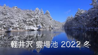 軽井沢 雲場池 2022 冬