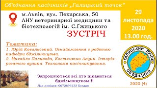 2020.11.29 Галицький точок. Костянтин Лецин, Михайло Паливода. Про Рогатий вулик і технологію. (ч.1)