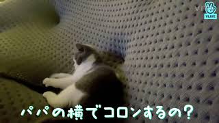 テミン vlive 日本語字幕　クンちゃんとクンちゃんパパ②