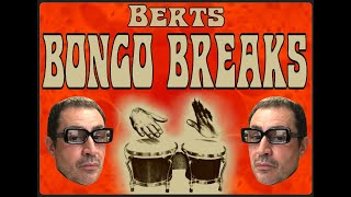 Berts Bongo Breaks