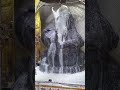 selvaganapati balabhishekam of maha sangada chaturthi fame