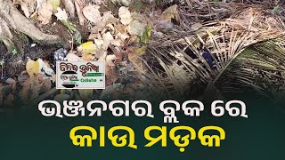 ଭଞ୍ଜନଗର ବ୍ଲକ ରେ କାଉ ମଡ଼କ।#bichitadunia