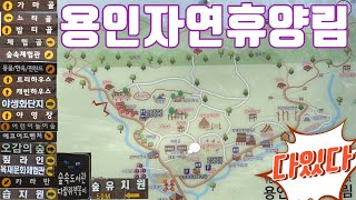 버라이어티한 용인자연휴양림 4k ver. 202302ㅣ(경기 용인)자연휴양림 ep. 08