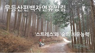 무등산편백자연휴양림 - '스트레스'와 '숲의 치유능력'