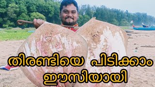 തിരണ്ടിയെ പിടിക്കാം ഈസി യായി. Simple tricks to catch stingray's