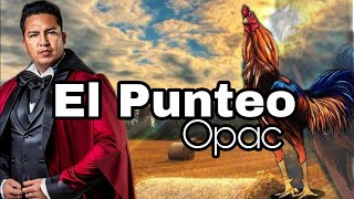 El punteo - Opac