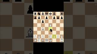 Bobby Fischer queen sacrifice checkmate blunder #shorts #chess