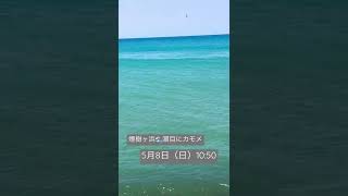 煙樹ヶ浜5月8日（日）10:50