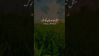 Peer Ajmal Raza Qadri Poetry Status | Sad poetry Status #trending  #poetry #whatsappstatus #shorts