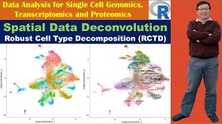 Spatial Data Deconvolution using Robust Cell Type Decomposition (RCTD) Part I