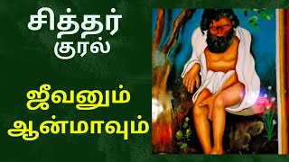 சித்தர் குரல் #video #videofeeds #viralvideo #spritual #anmeegam #sidhar #vallalar #guru #guruji