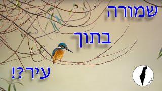 שמורת עין אפק | רון ונעמה מטיילים בישראל | פרק 4