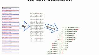 Statistics for Genomics: Intro to Next Generation Sequencing