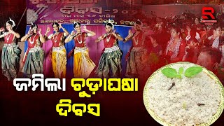 ସମ୍ଭାବନା ପରିବାର ପକ୍ଷରୁ ଚୁଡ଼ାଘଷା ଦିବସ ପାଳିତ