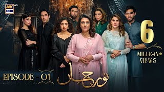 Noor Jahan Episode 1 | 25 May 2024 | ARY Digital Drama