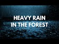 Heavy Rain in the forest and Thunderstorm sounds for Sleep