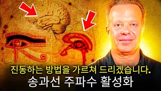 원하는 것을 시각화하는 방법, 송과선 활성화 | 조 디스펜자