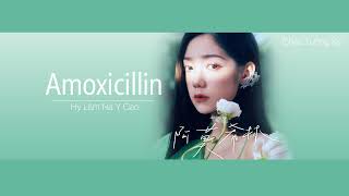 [Vietsub] Amoxicillin - Hy Lâm Na Y Cao (Curley Gao) (阿莫希林-  希林娜依高)