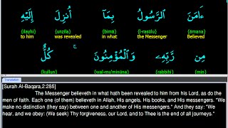Surah Baqara Last 2 Ayah Word by Word Translation