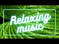 Relaxing Music | Fresh Meditation Music | Relaxing Refreshing Music | Calming Music | Mindify
