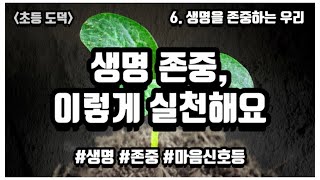 |초등도덕| 생명 존중, 이렇게 실천해요 | 3학년 2학기, 6단원 생명을 존중하는 우리 | 마음 신호등 | 생명 존중 |