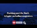 Matt maeson - Hallucinogenics ( lyrics )