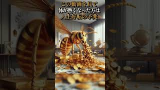 【至極眼福】人生一発逆転を願掛け、宝くじ高額当選、一攫千金、金運招福、願望実現、眼福アファメーション