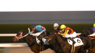 現地映像、トレクァルティスタが１０００万下を約３年ぶり勝利。阪神競馬場