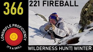 LRB 366: 221 Fireball hunt