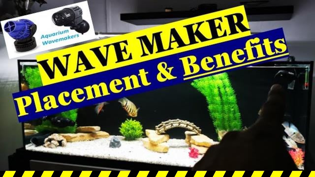 Aquarium Wavemaker Placement & Benefits - YouTube