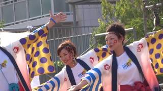 桃太郎まつり うらじゃ2016 全員集合連 下石井公園