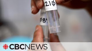 They test drugs so users know what they're really taking